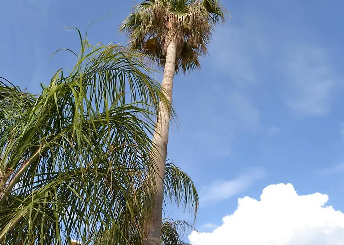 לינה וארוחת בוקר Affittacamere Torre Lapillo 3*